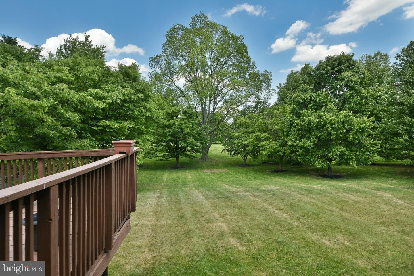 401 Jene Court photo 31