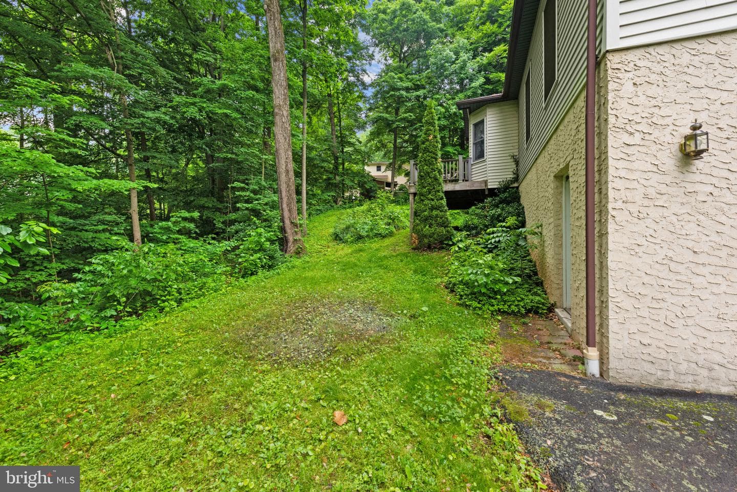 1928 Mimosa Lane photo 53