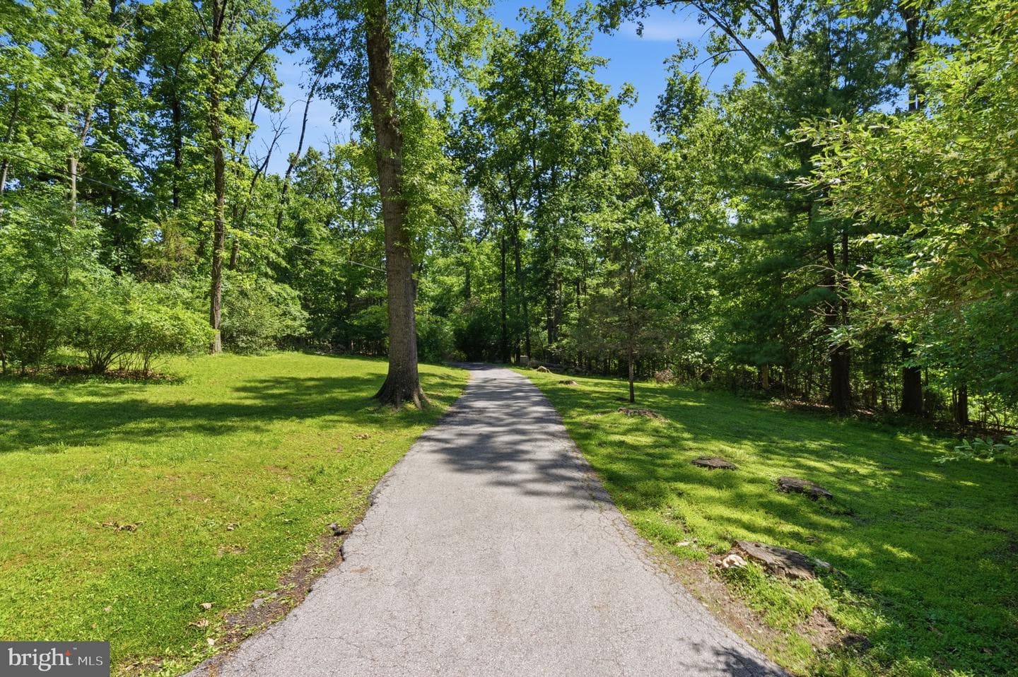 1701 Bahr Road photo 41