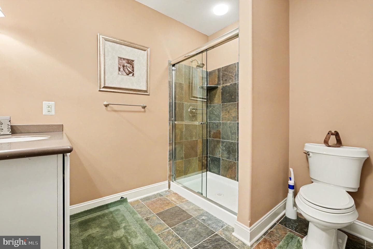 876 Ashbourne Way photo 86