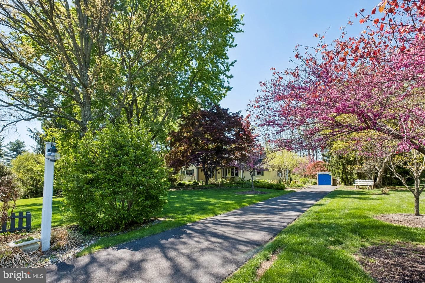 713 Alene Road photo 3