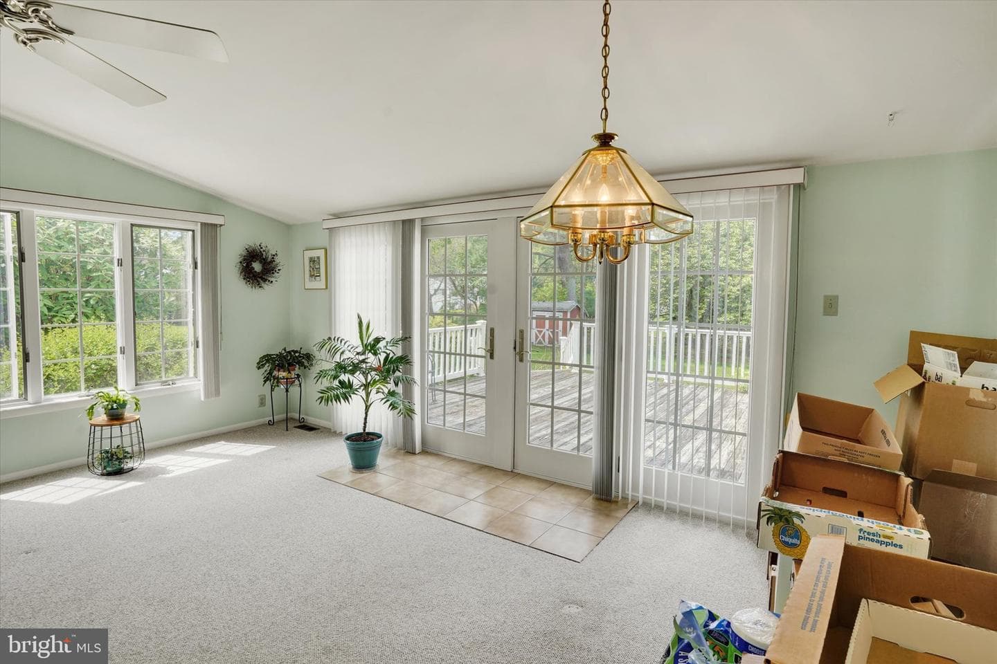 1617 Cherry Lane photo 13