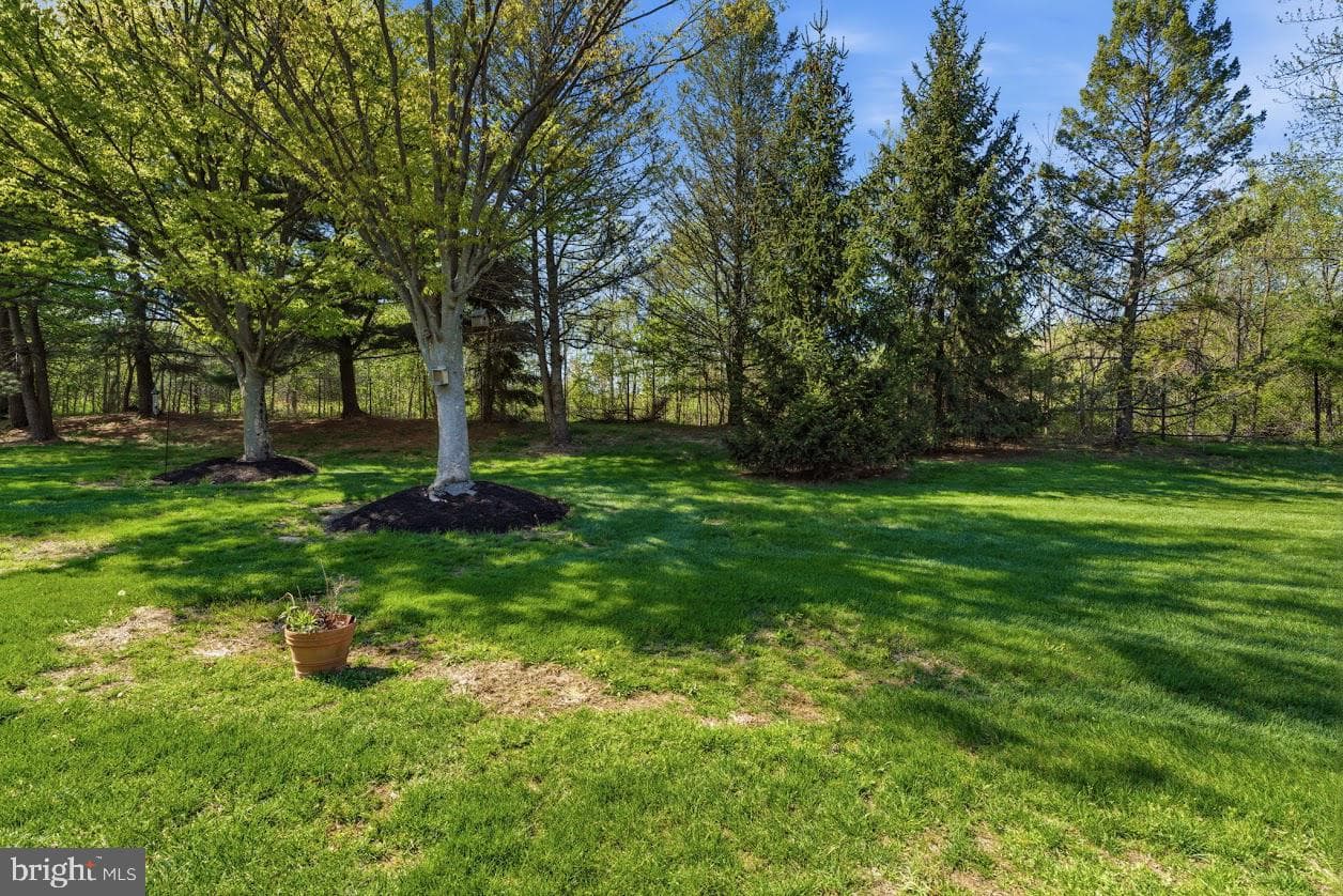 205 Polo Drive photo 30