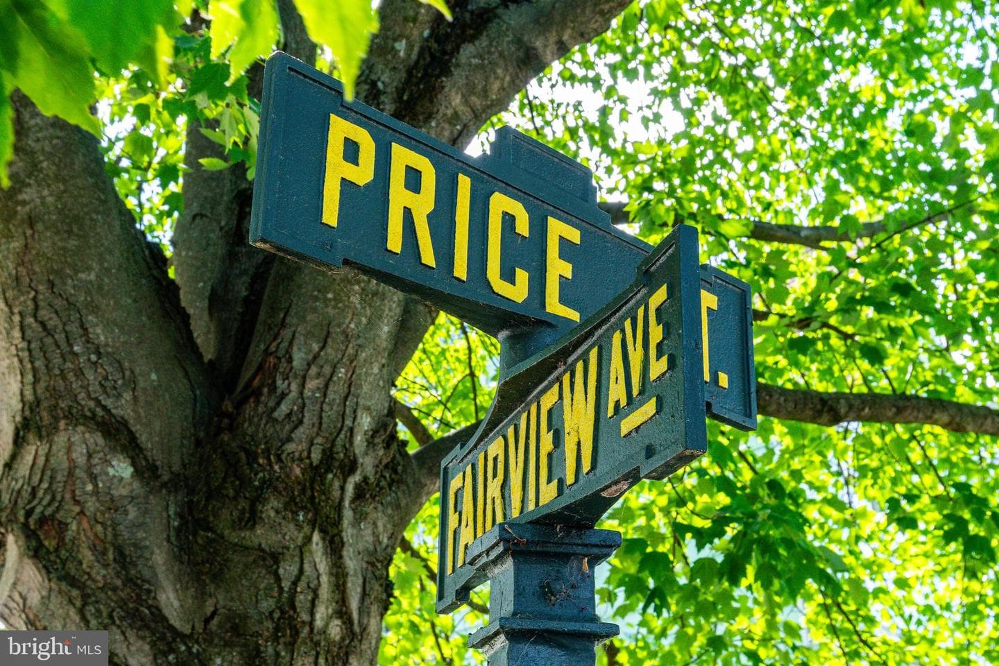 55 Price Street photo 48