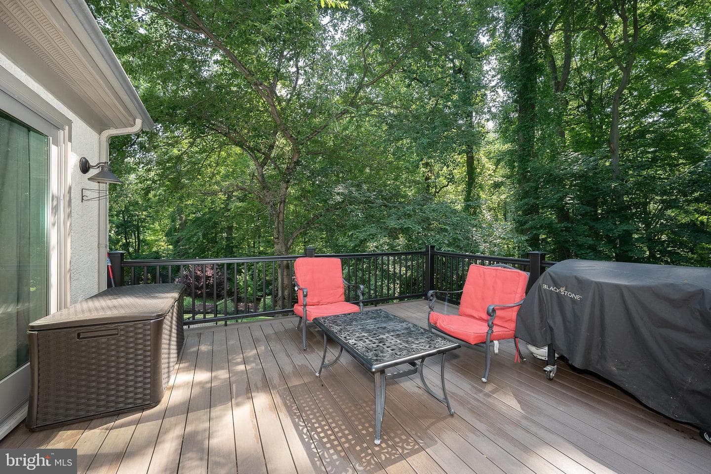 1551 Washington Lane photo 48