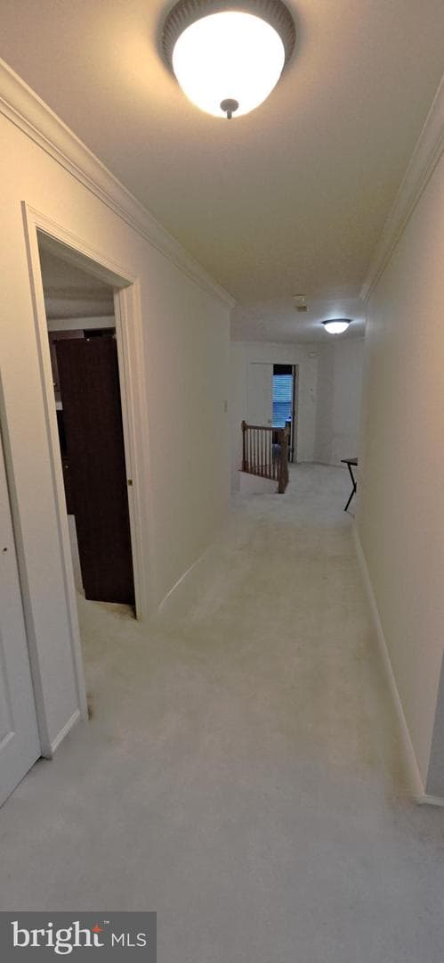 101 Tennyson Lane photo 25