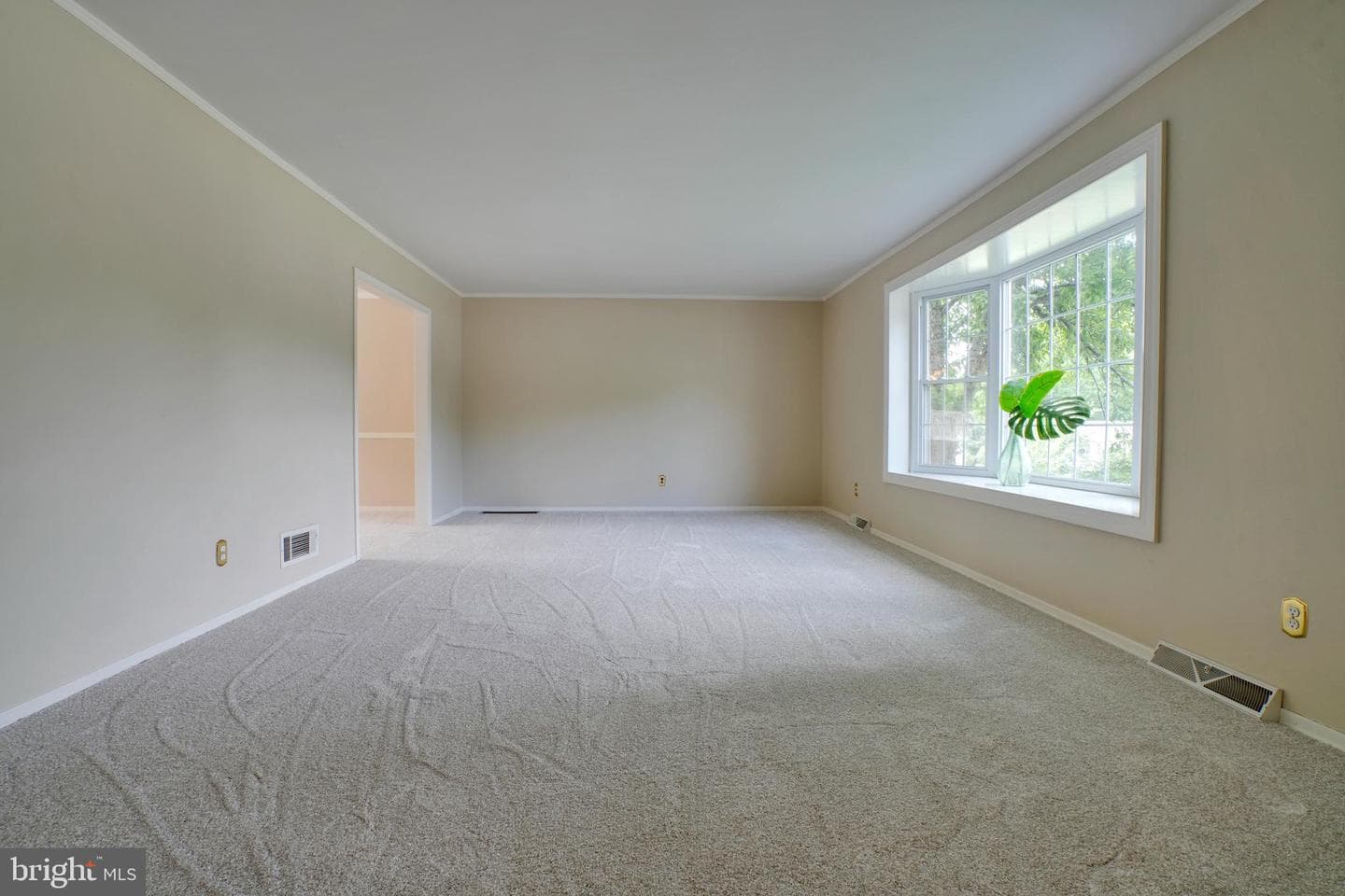 49 Dorchester Road photo 8