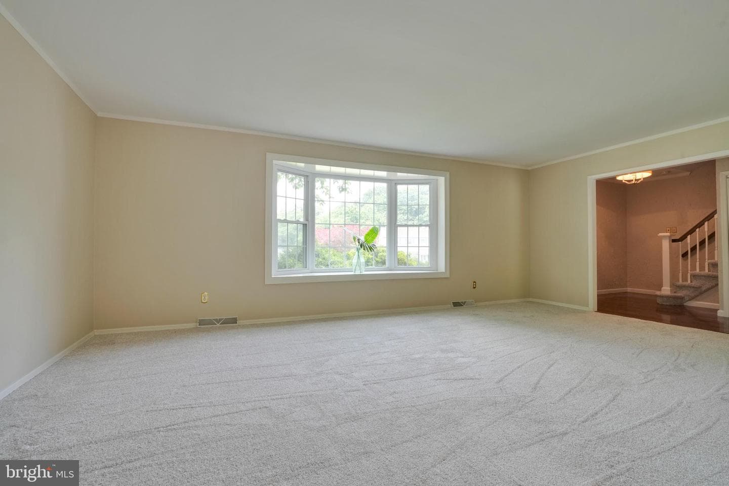 49 Dorchester Road photo 9