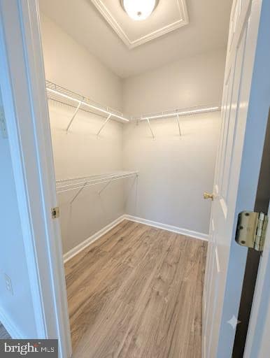 440 Nottingham Lane photo 21