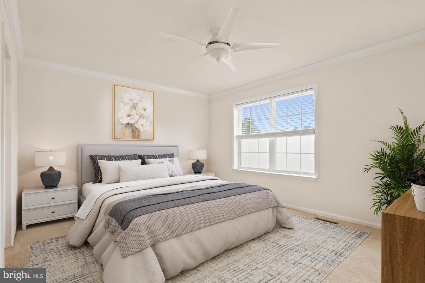 171 Vernon Court photo 15