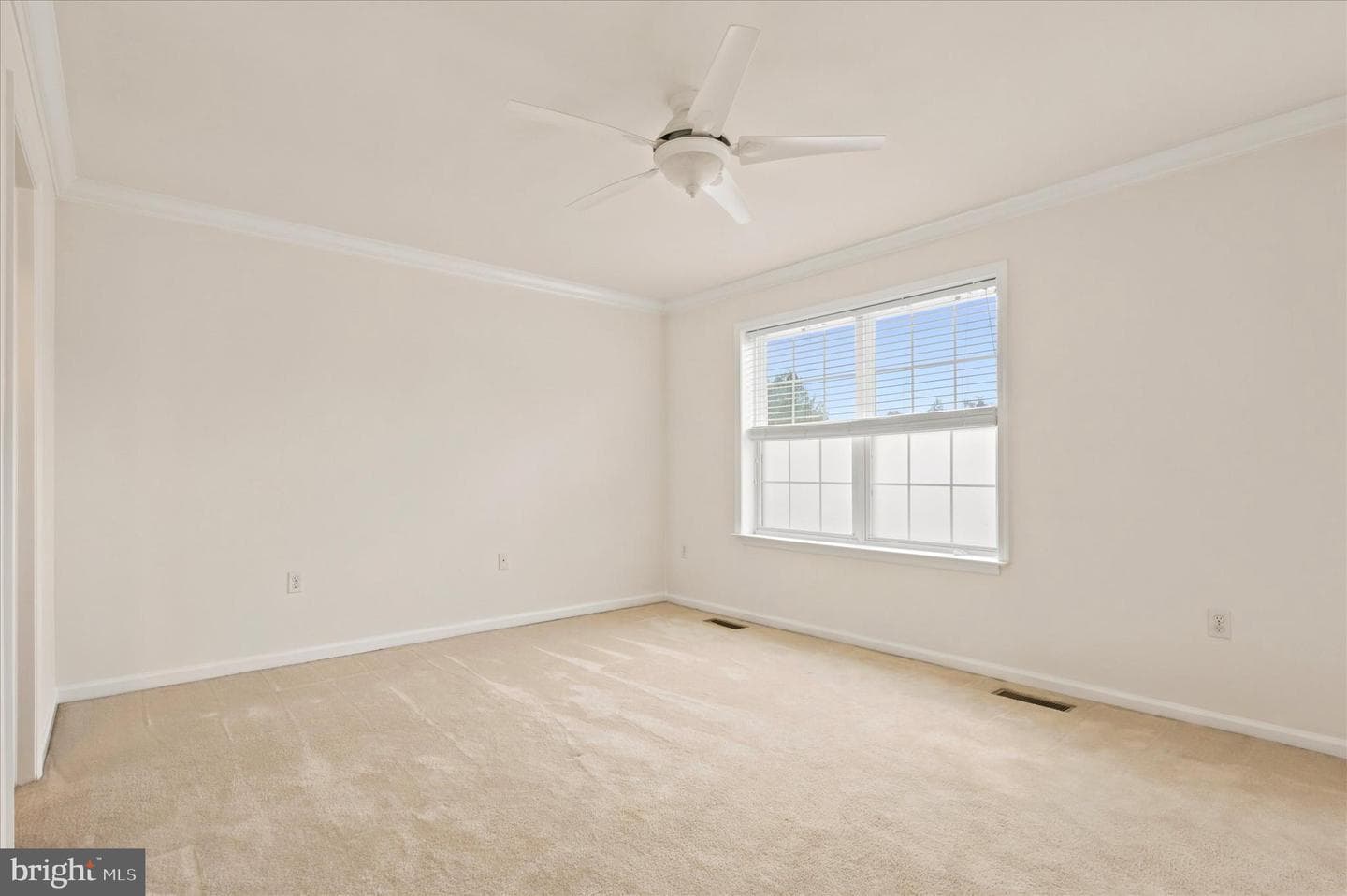 171 Vernon Court photo 16