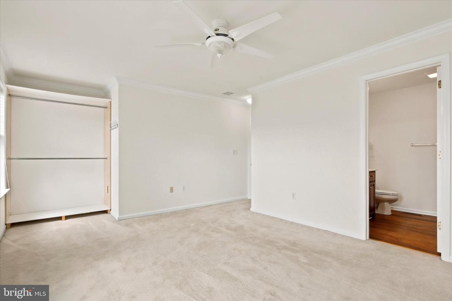 171 Vernon Court photo 17