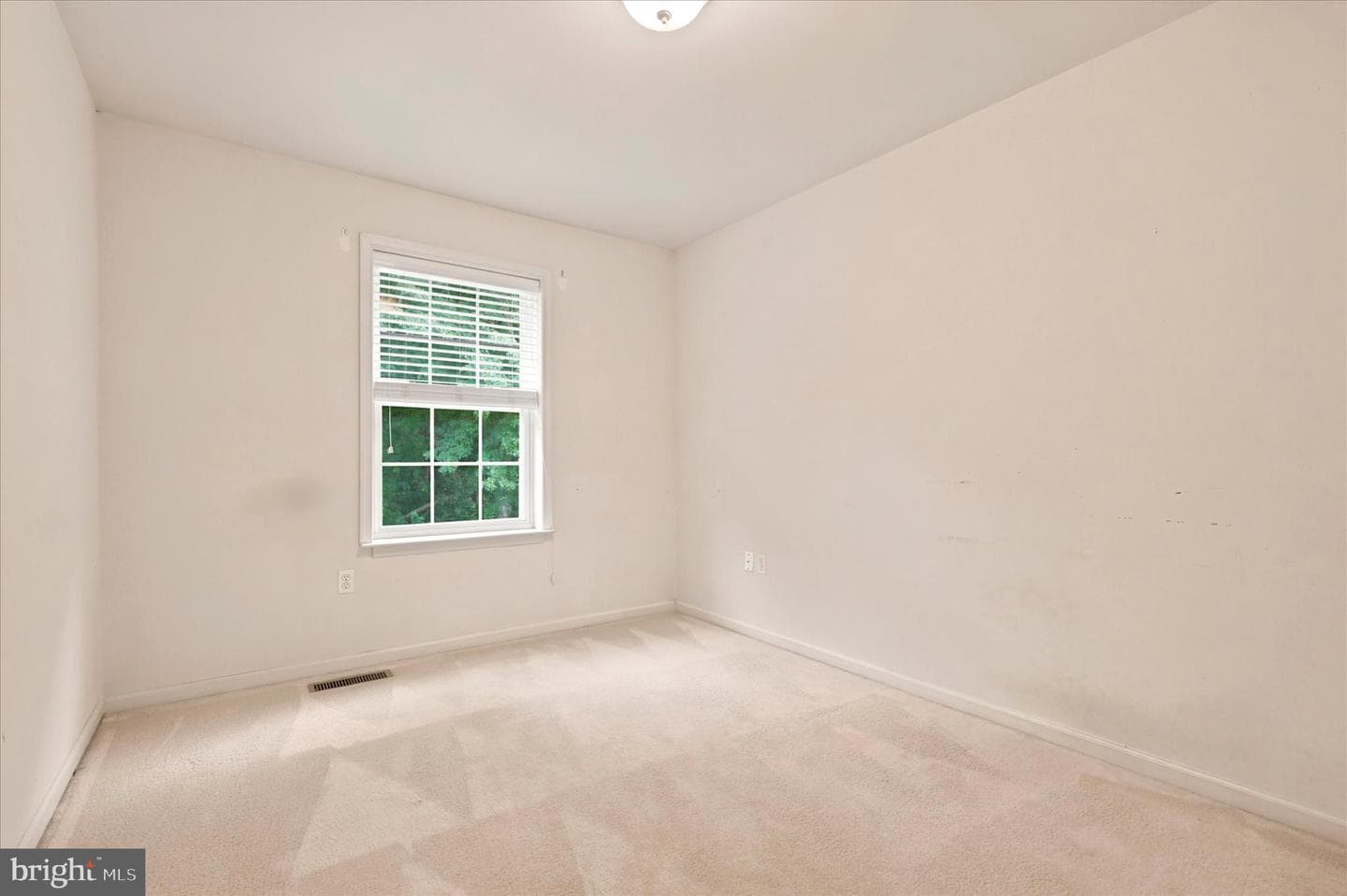 171 Vernon Court photo 22
