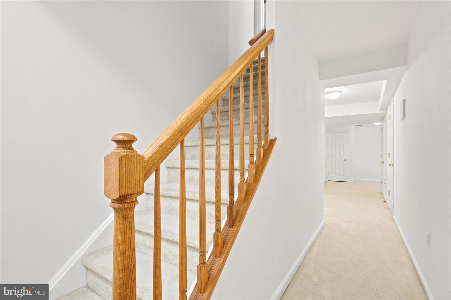171 Vernon Court photo 25