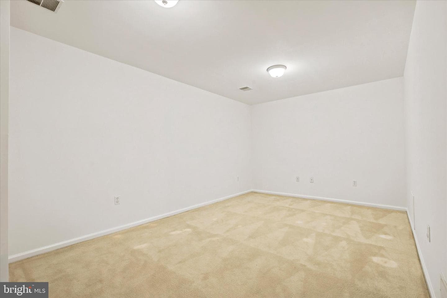 171 Vernon Court photo 29