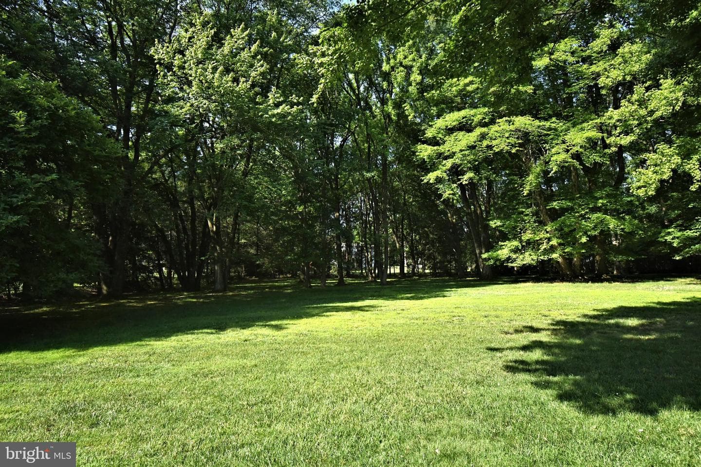 896 E Township Line Road photo 118