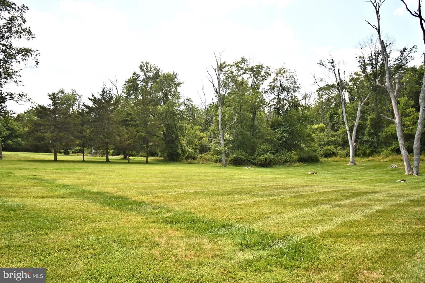 1651 N North Wales Road photo 60