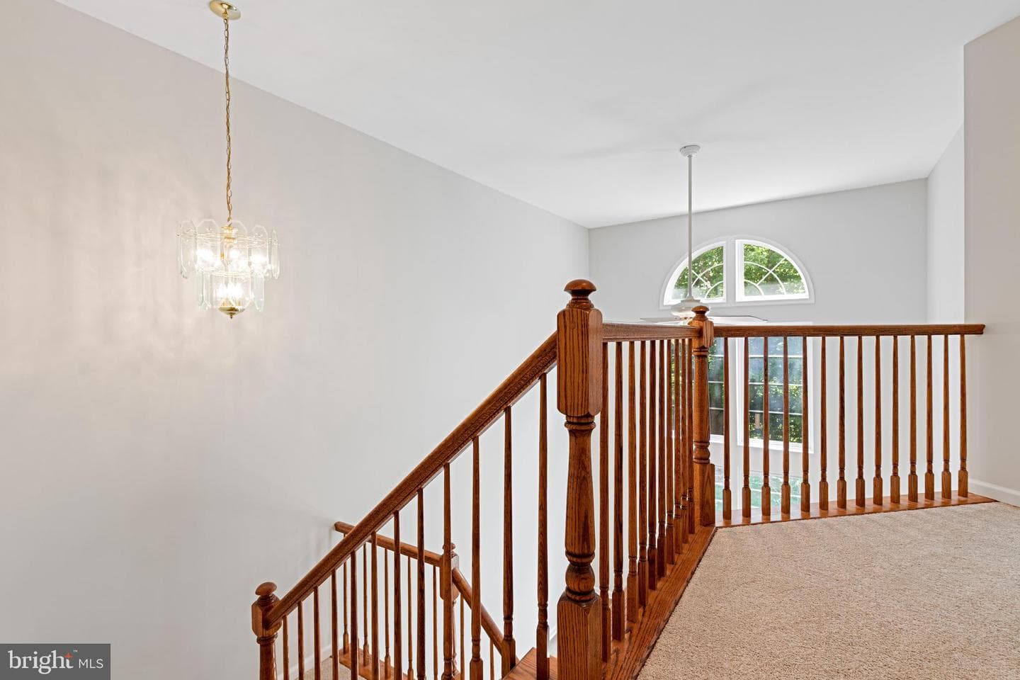 504 Pimlico Way photo 15