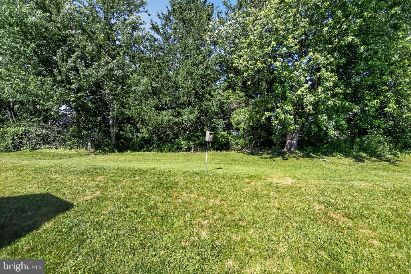 118 Dyer Court photo 6