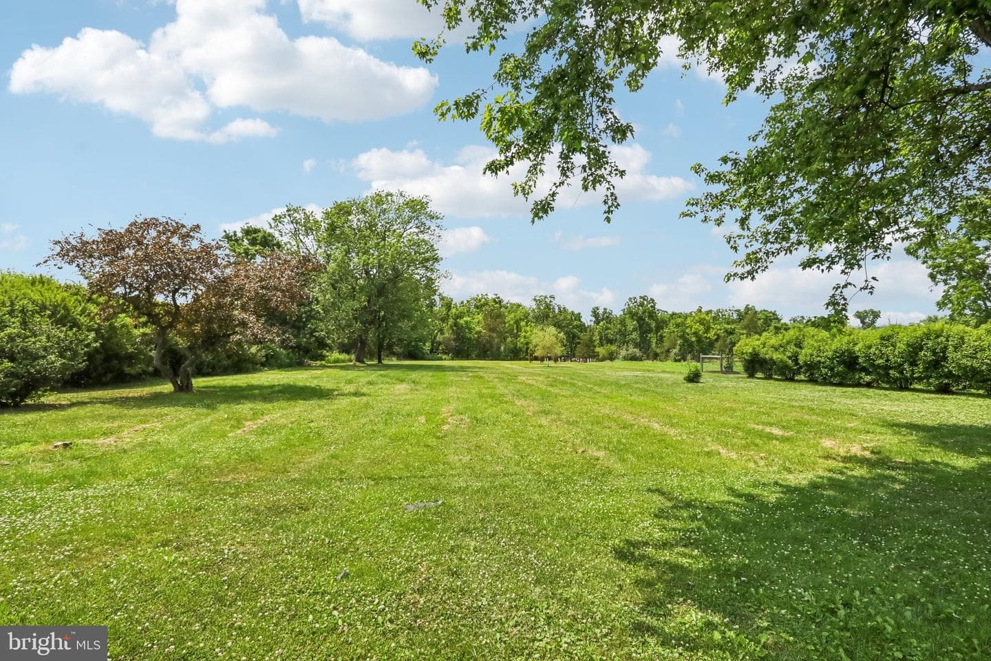 2681 Burton Road photo 76
