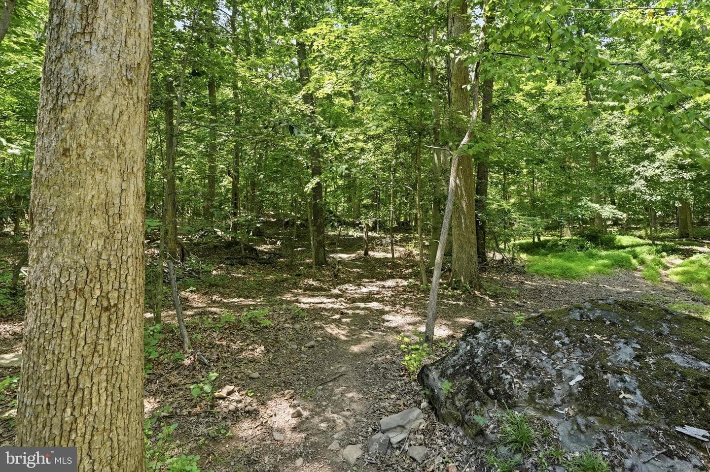 1125 Payne Road photo 42
