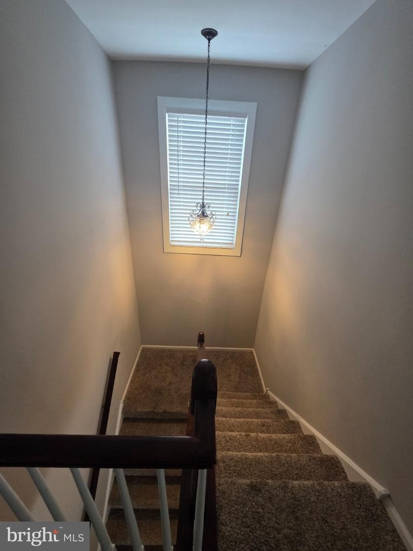 240 Cobblestone Court photo 13