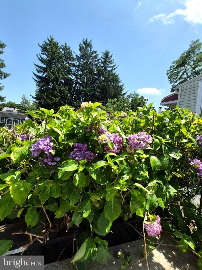 54 Blake Avenue photo 51