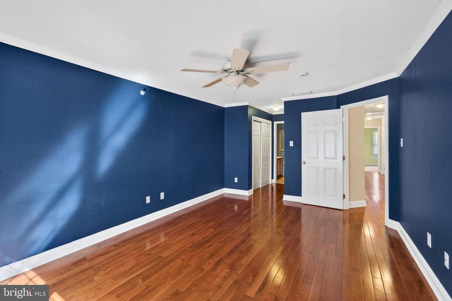 53 Cricket Drive photo 15