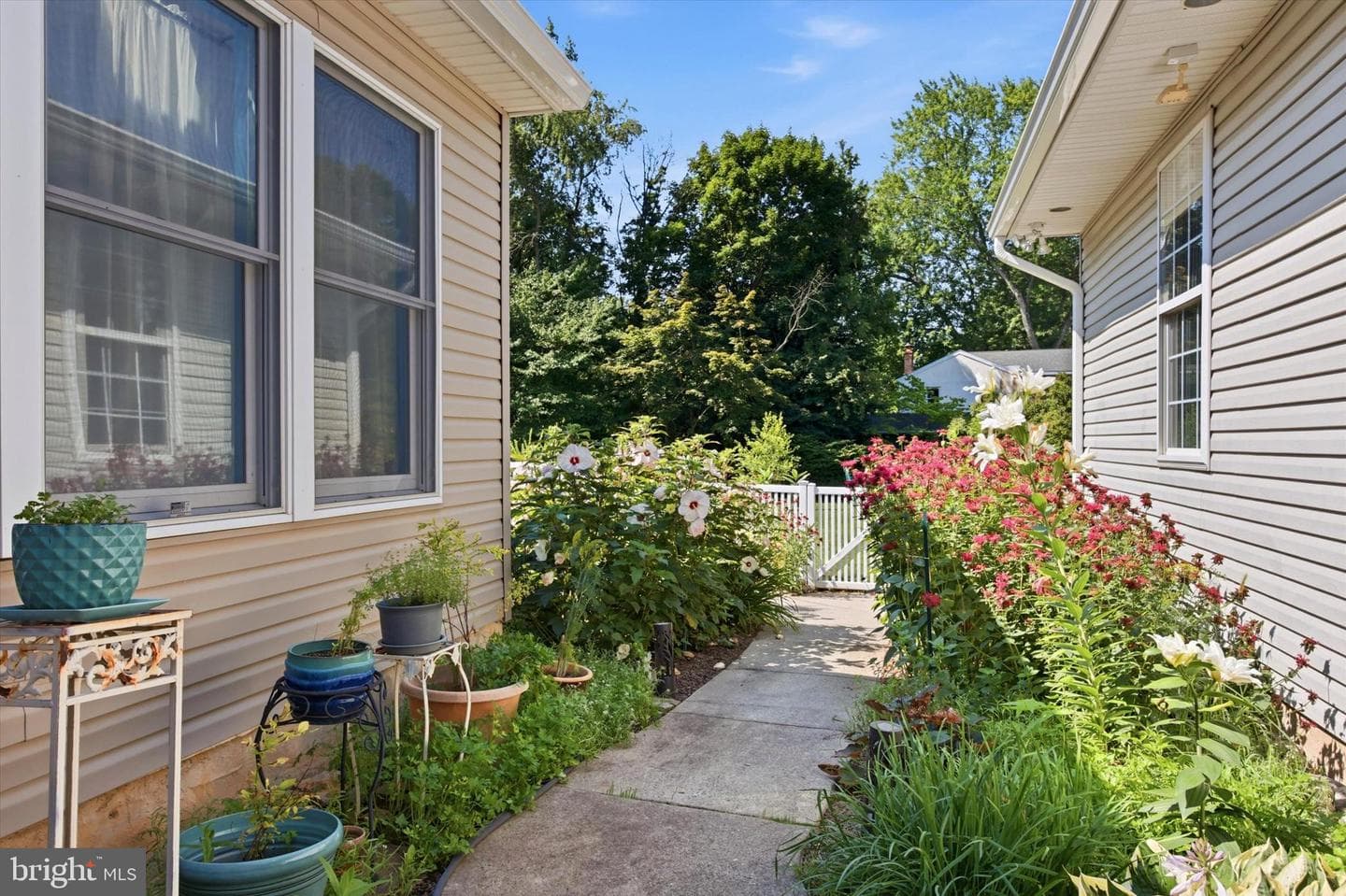 664 Park Road photo 6
