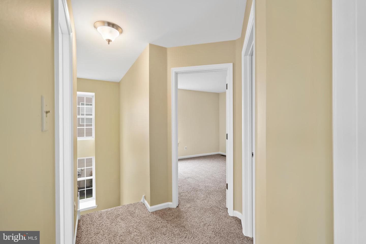 806 Elizabeth Court photo 21