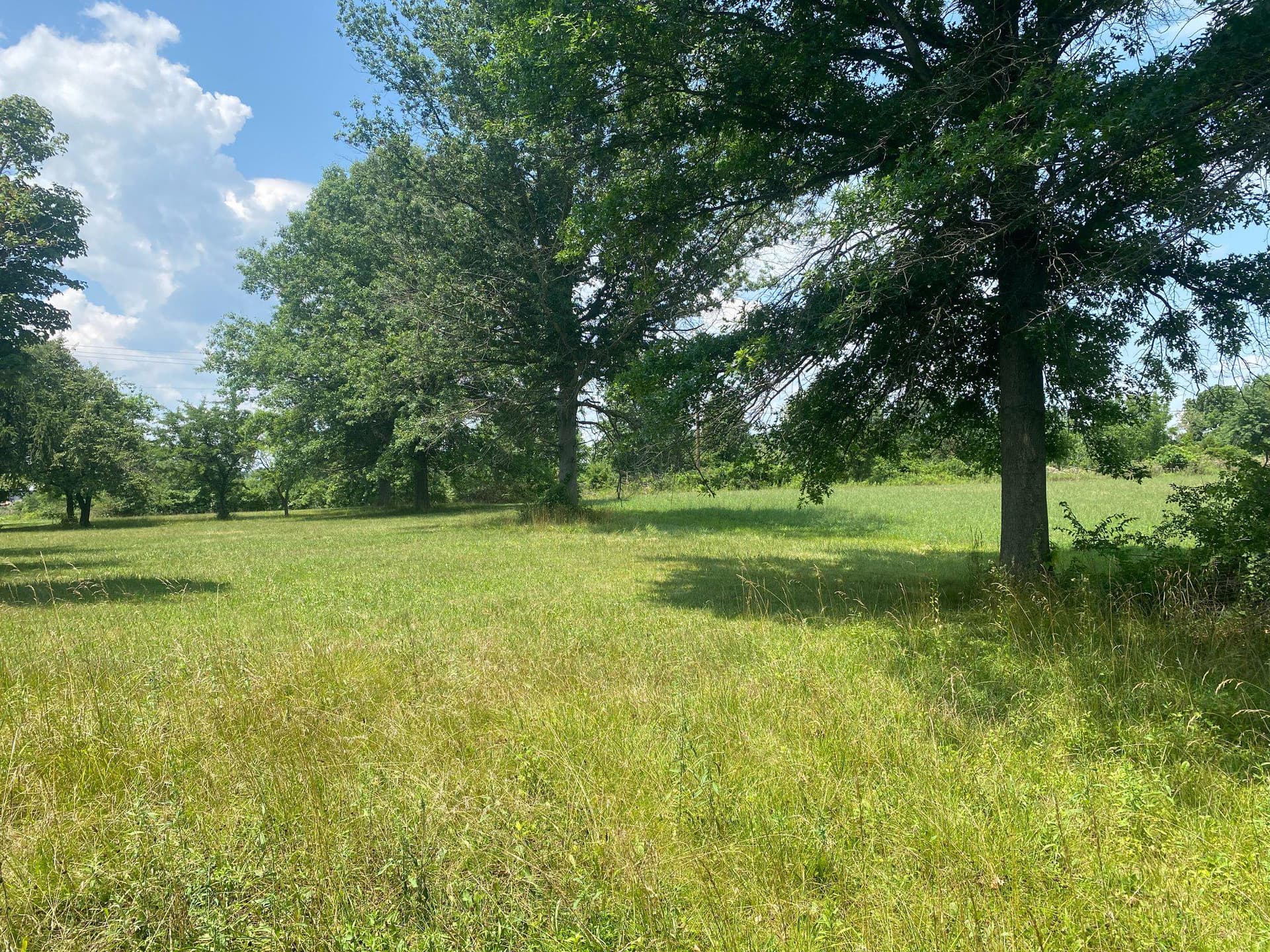 227 Schlegel Road photo 13