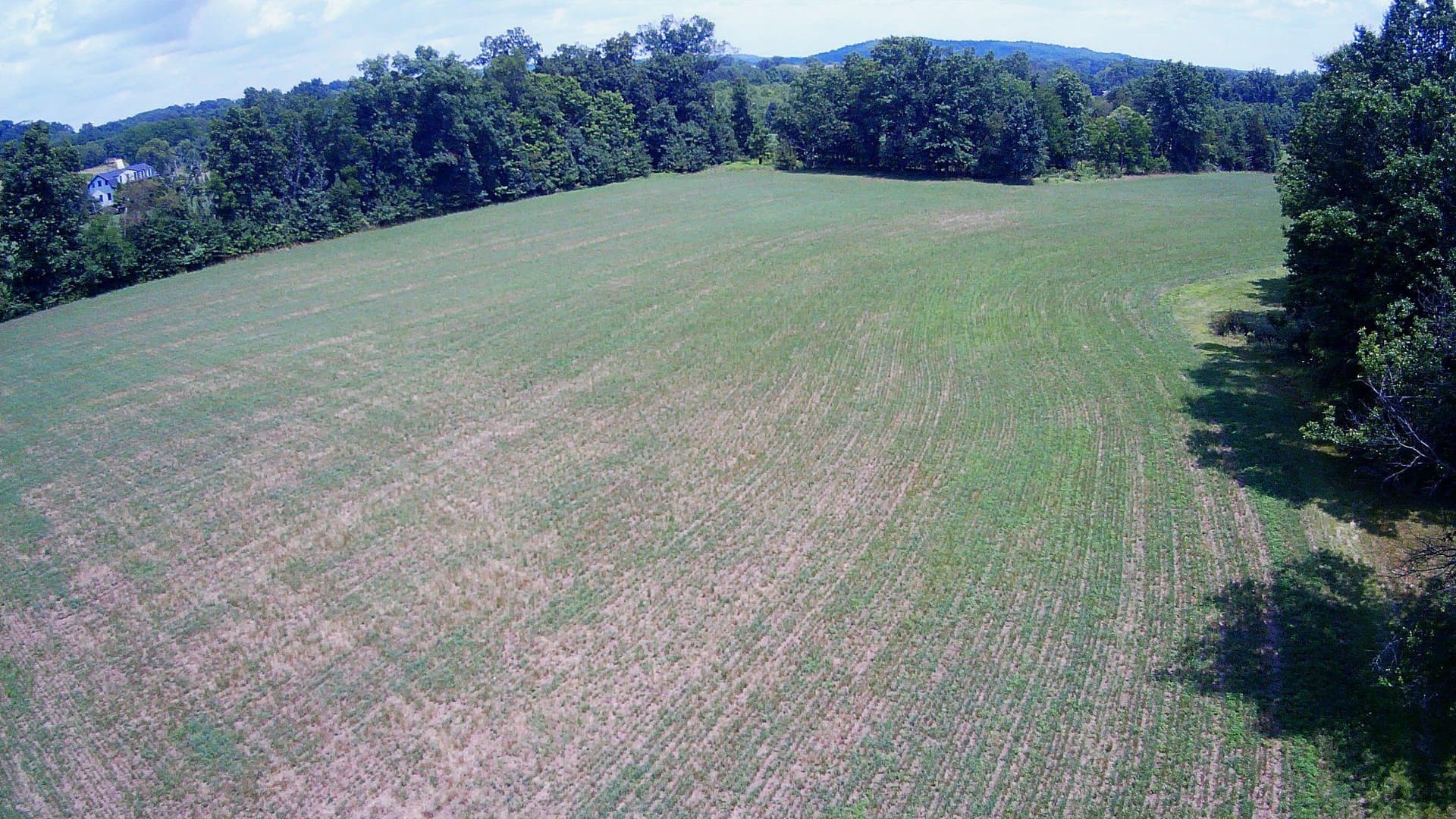 227 Schlegel Road photo 4