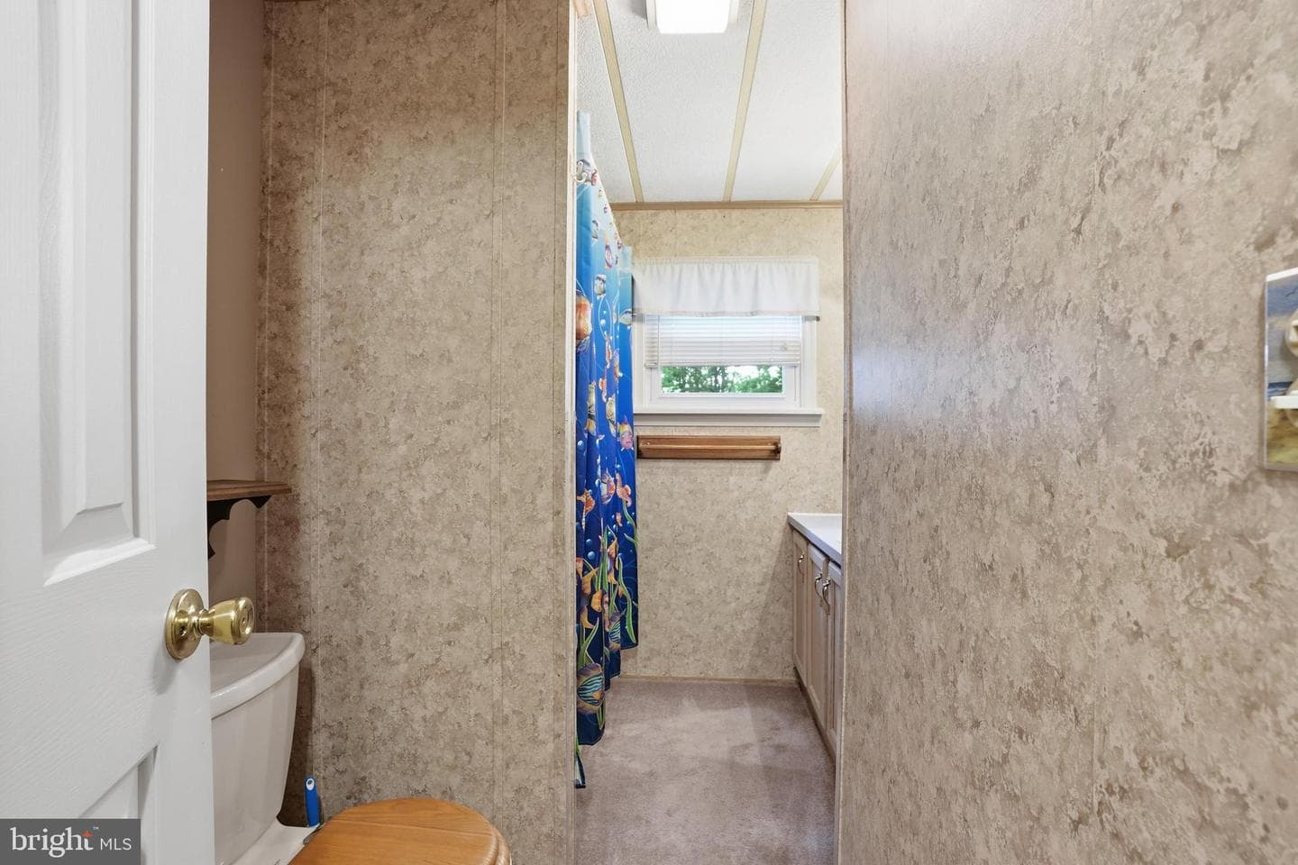 10 Coventry Place photo 19