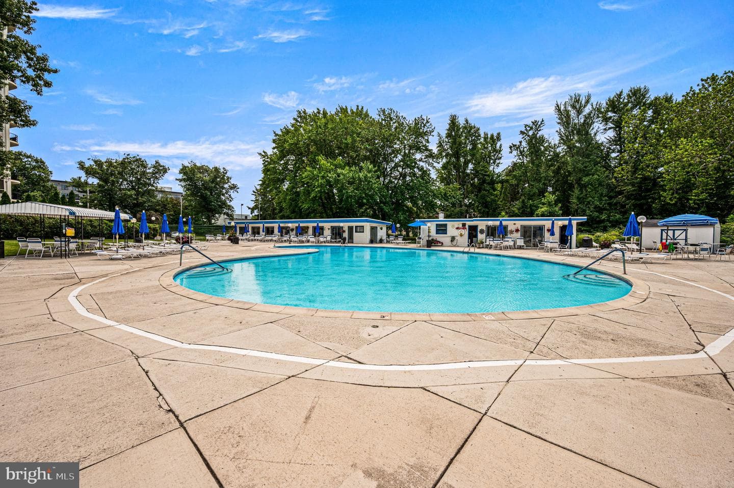 50 Belmont Avenue #401 photo 20