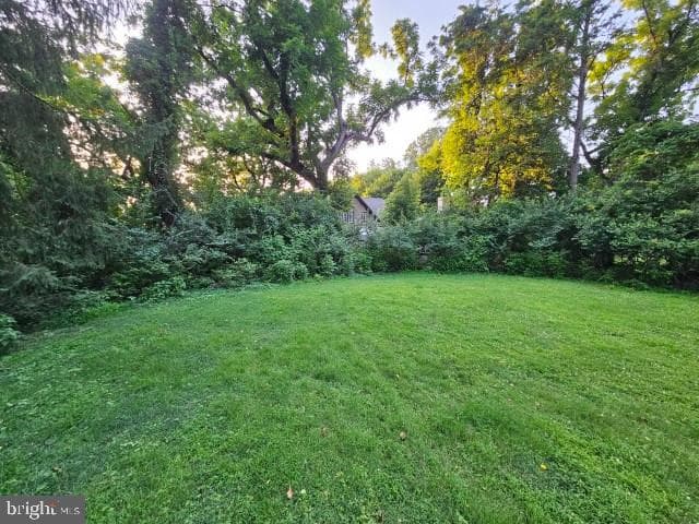 8128 Cedar photo 5