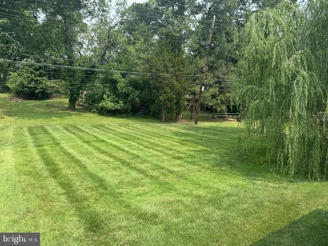 333 Central Drive photo 22