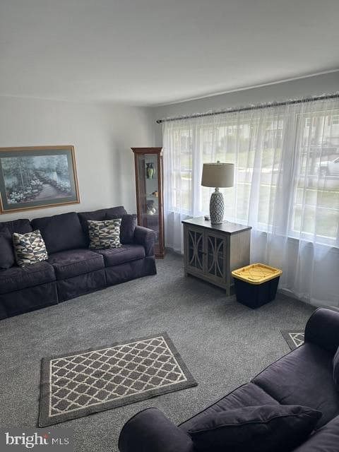 333 Central Drive photo 6