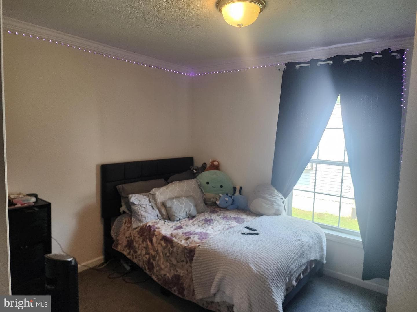 165 W Ridge Pike #207 photo 20
