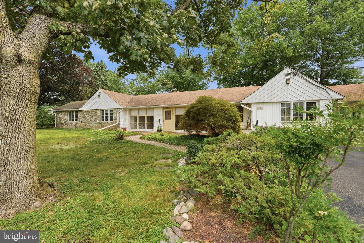707 Forrest Avenue photo 25