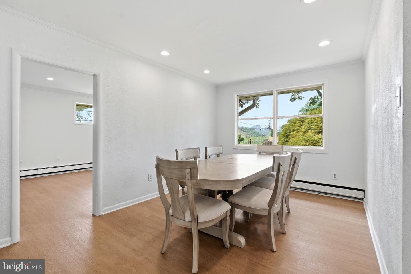 707 Forrest Avenue photo 33