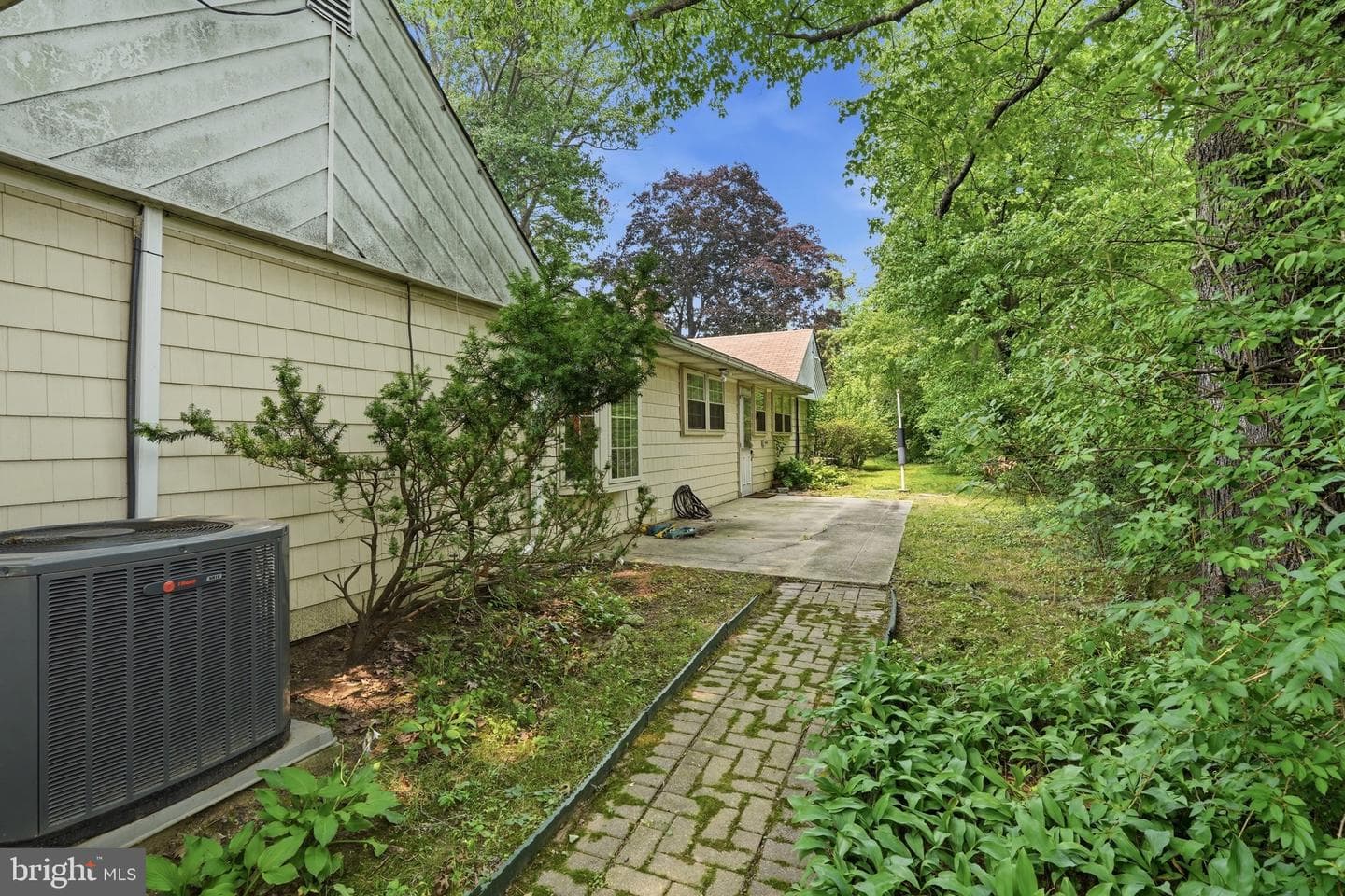 707 Forrest Avenue photo 5