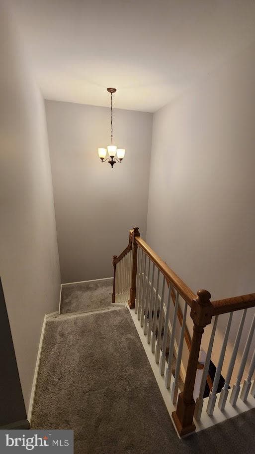 3 Kings Avenue photo 15