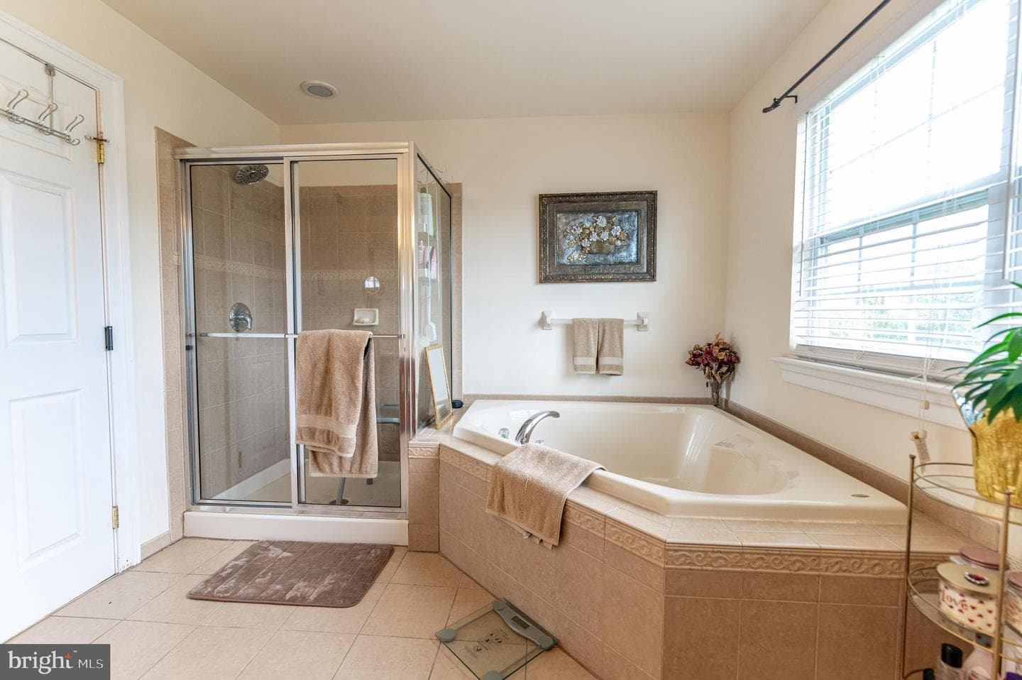 4415 Crosswinds Drive photo 42