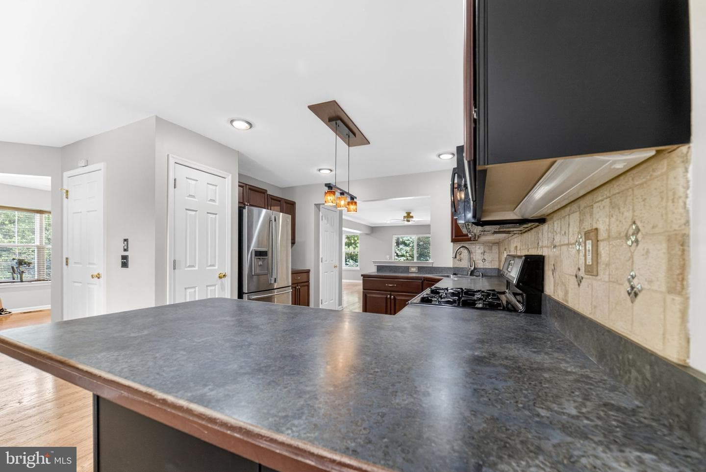 224 Park Ridge Drive photo 8