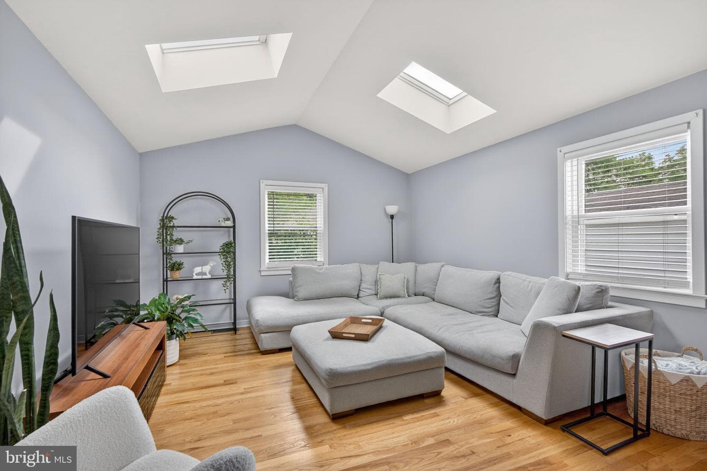 1802 Snyder Street photo 17