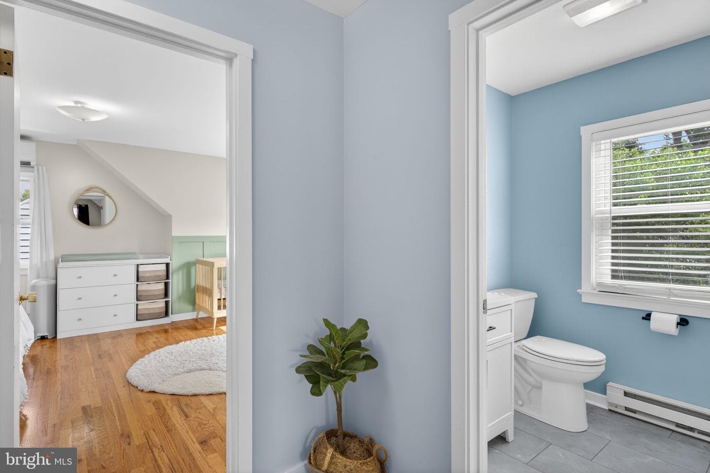 1802 Snyder Street photo 24