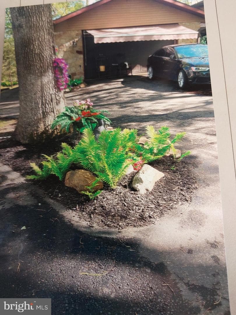 3725 Oakland Road photo 19