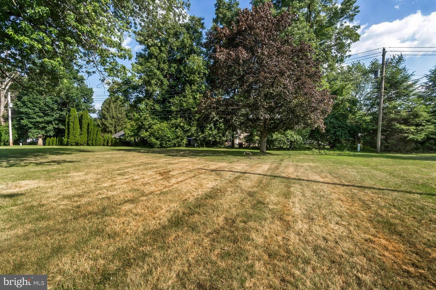 1105 Brentwood Avenue photo 62