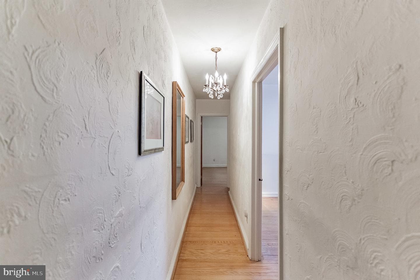 513 Pine Street photo 18