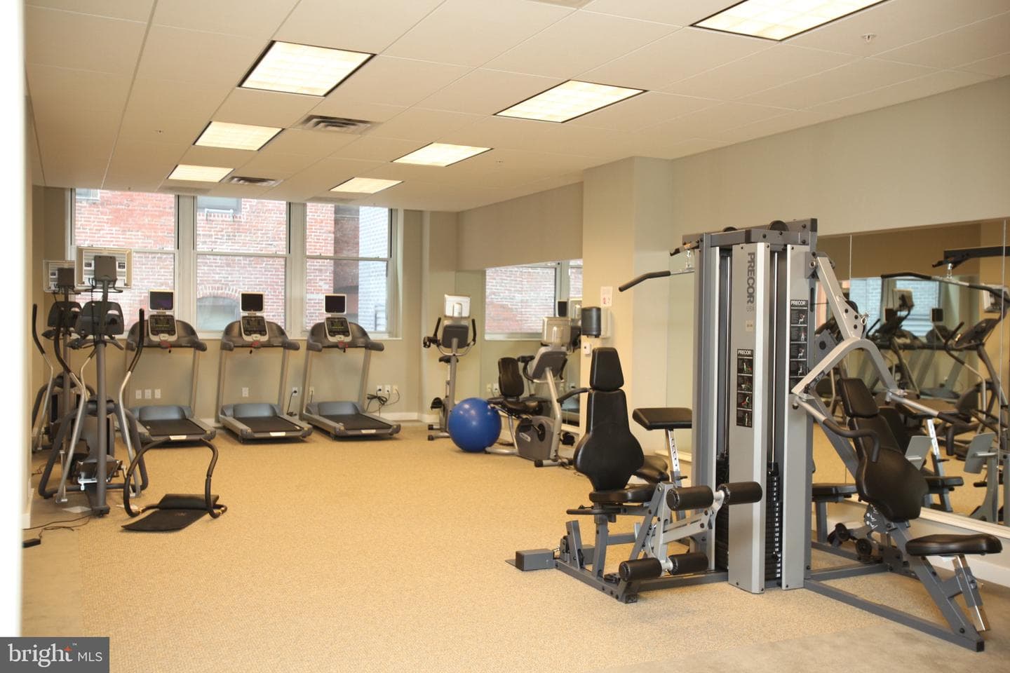 1101 Locust Street #4c photo 6